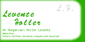 levente holler business card